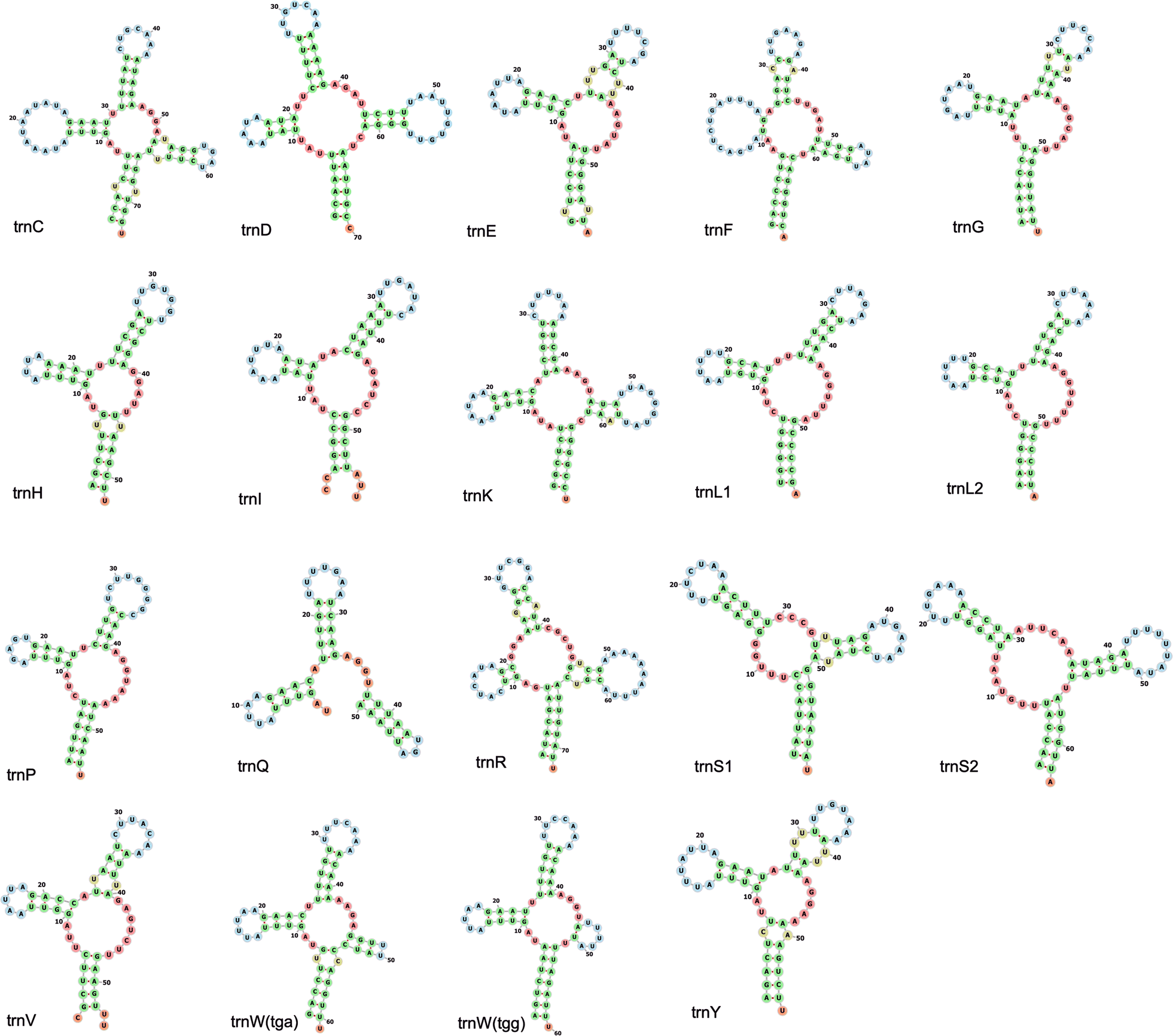 Fig. 2