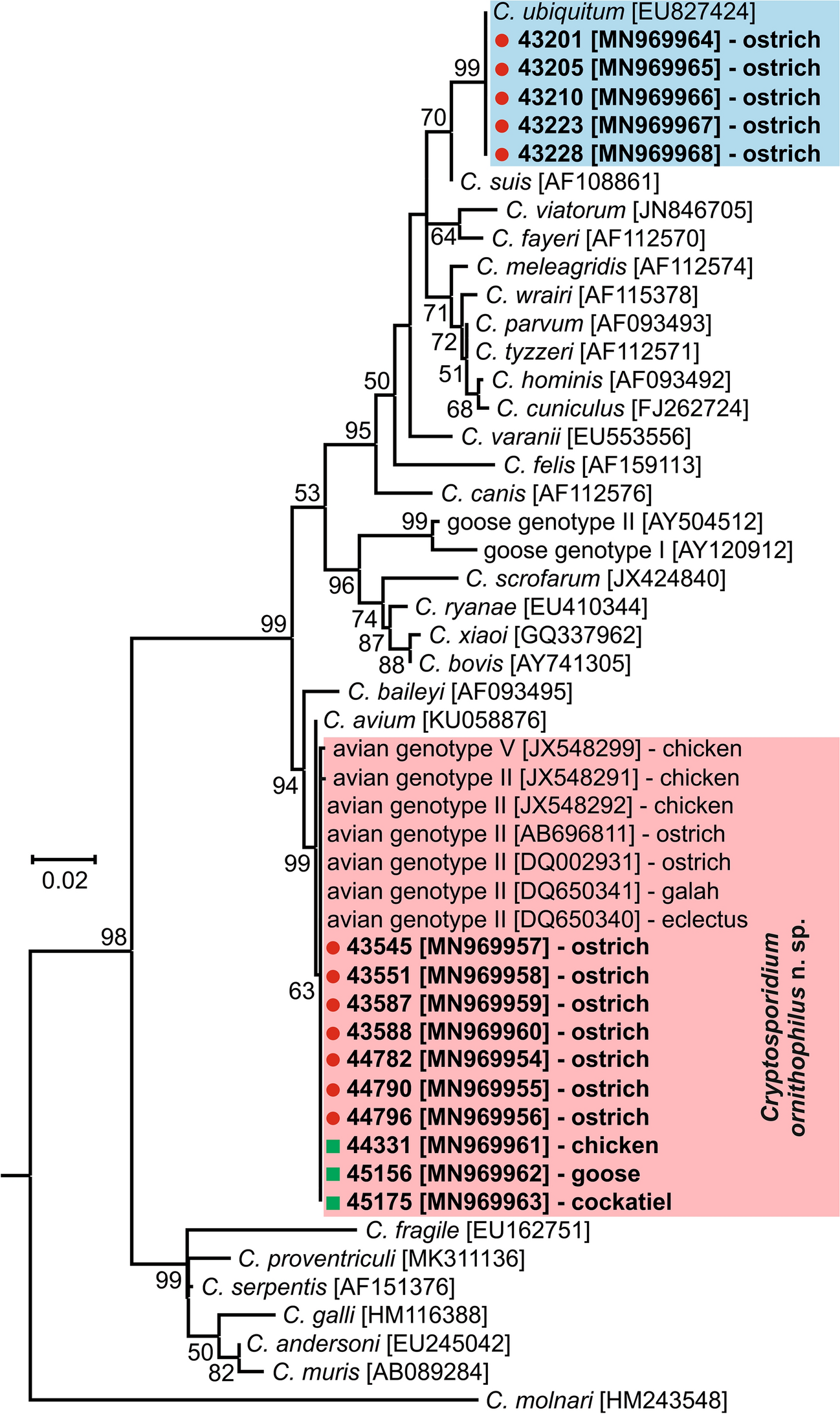 Fig. 1