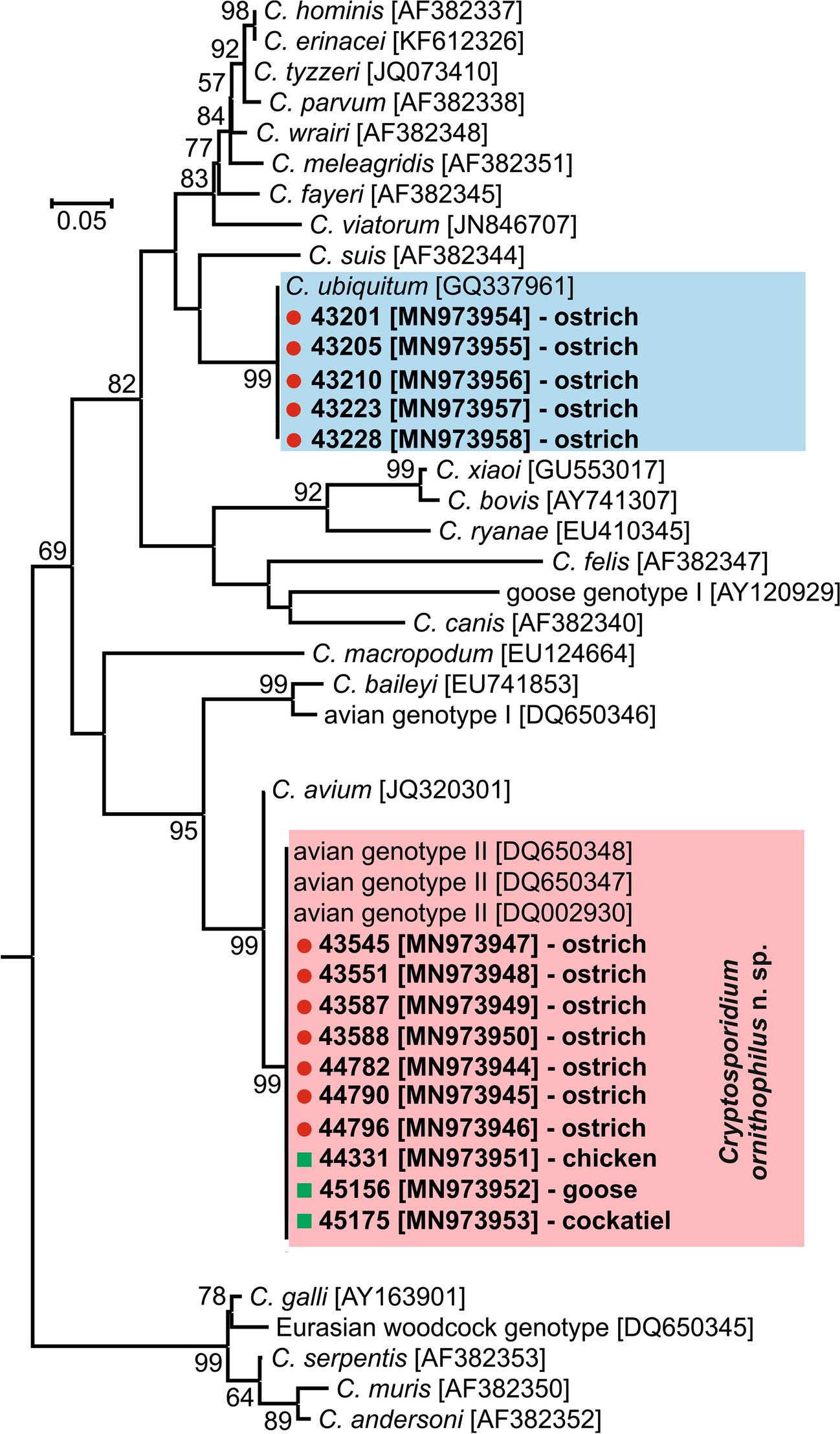 Fig. 2