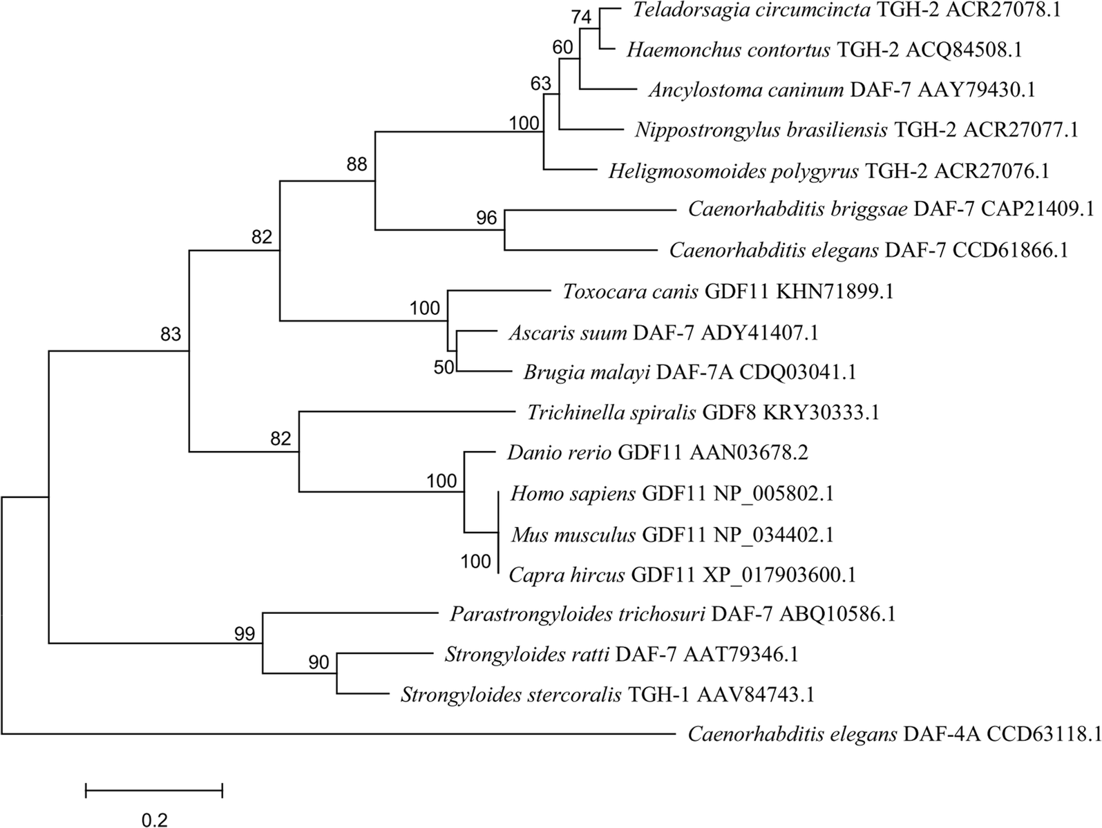 Fig. 1