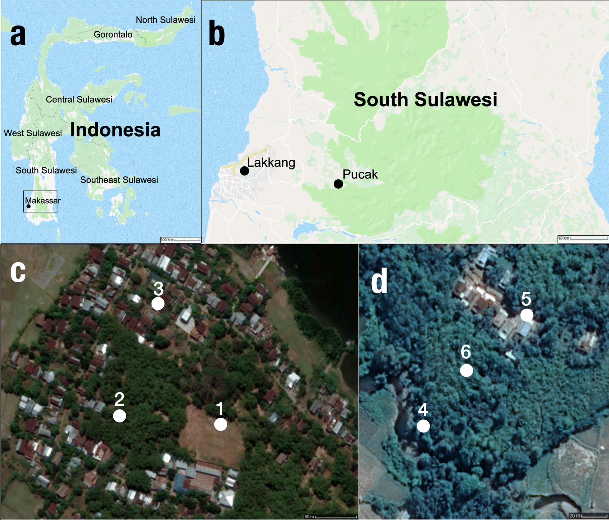 Fig. 1