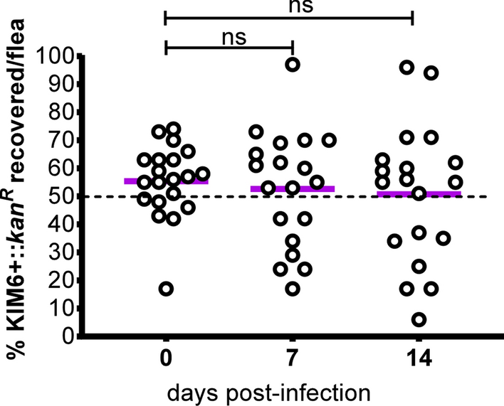 Fig. 4