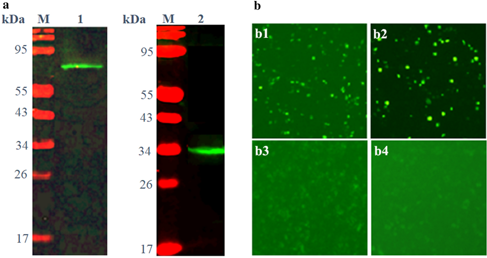 Fig. 4