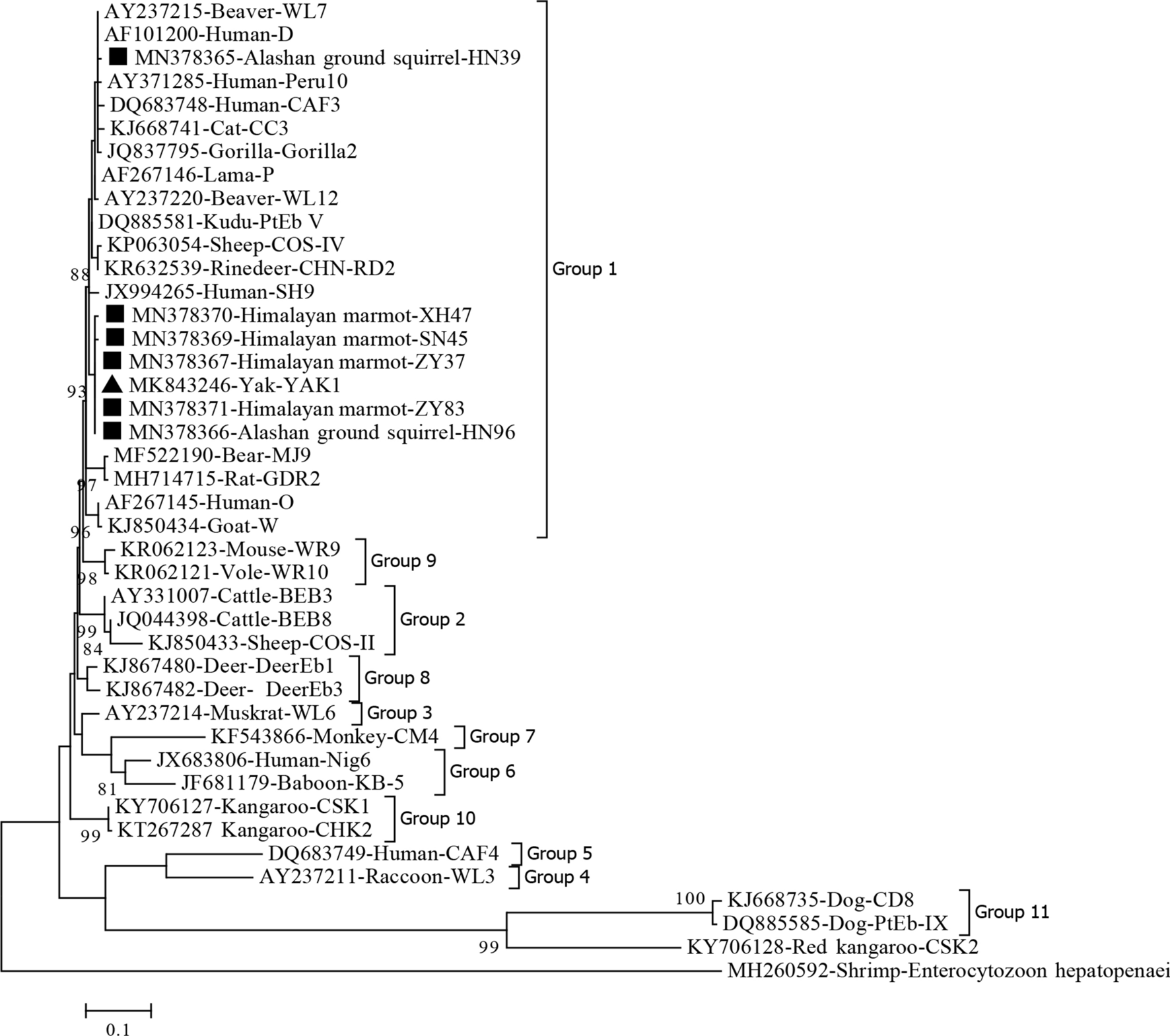 Fig. 1