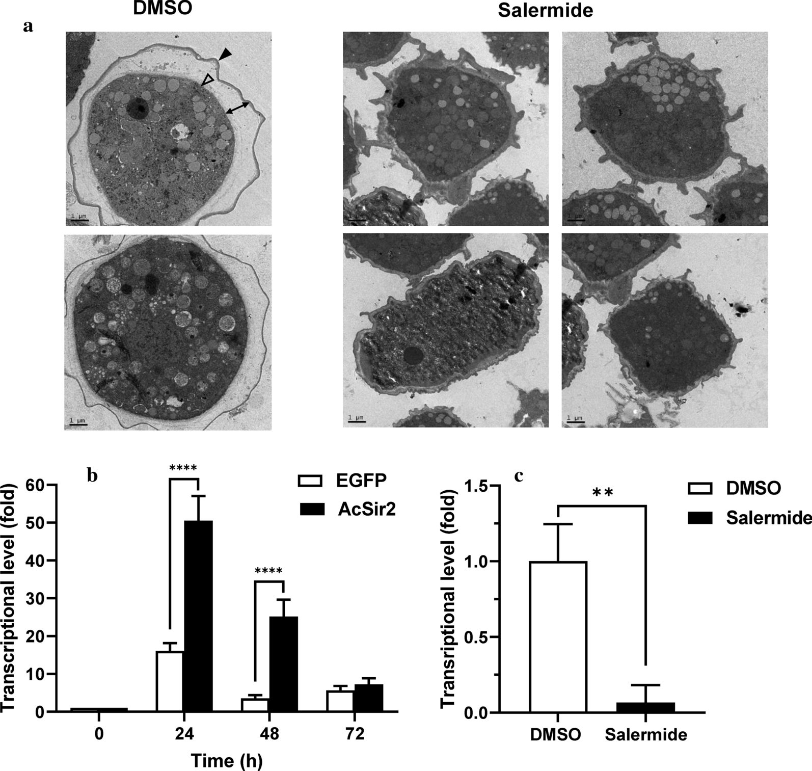 Fig. 6