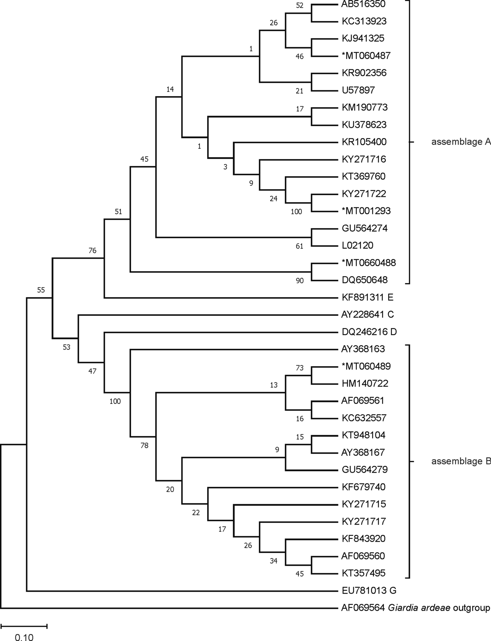 Fig. 1