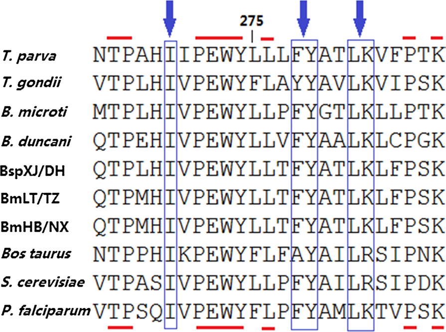 Fig. 2