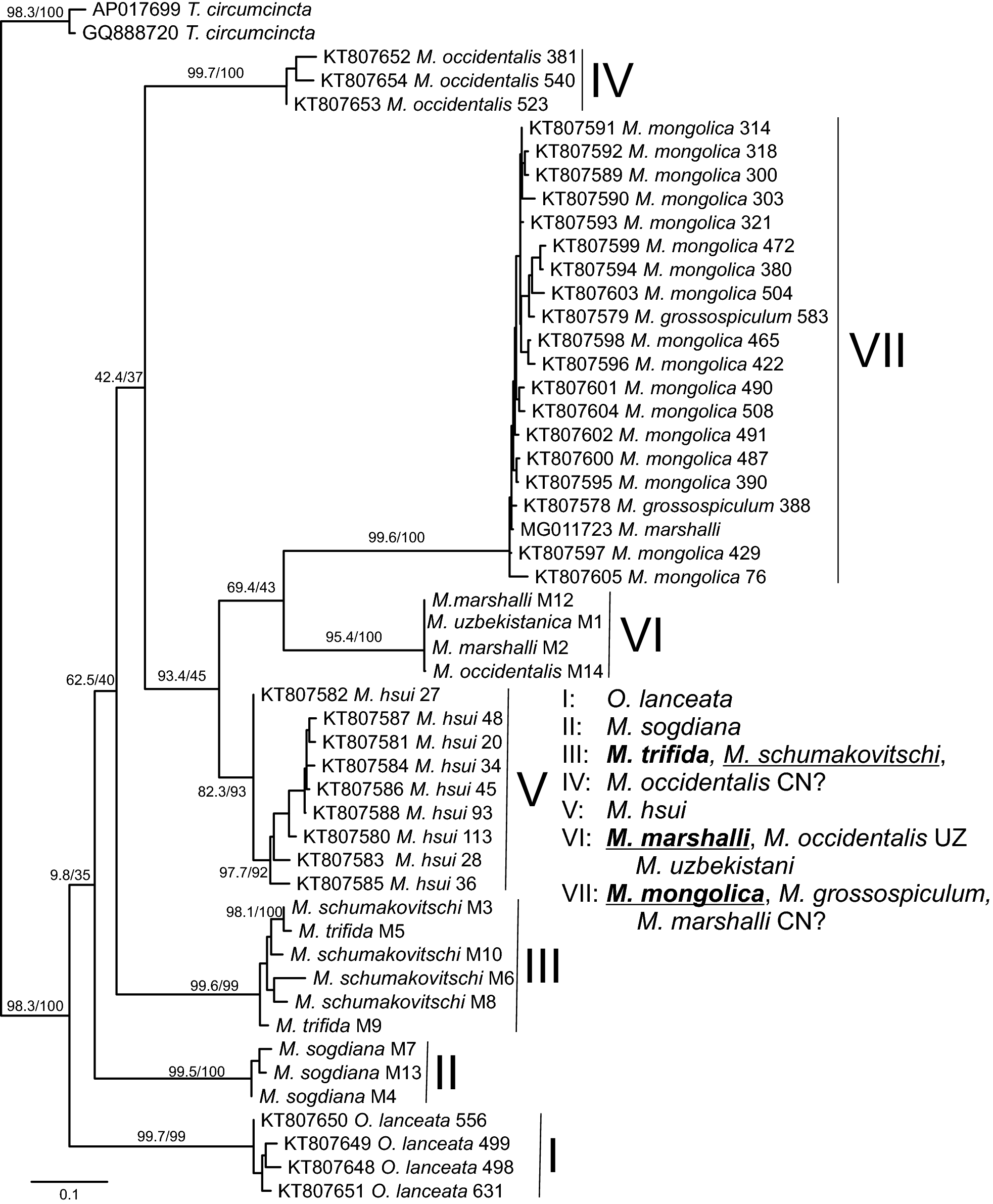 Fig. 2