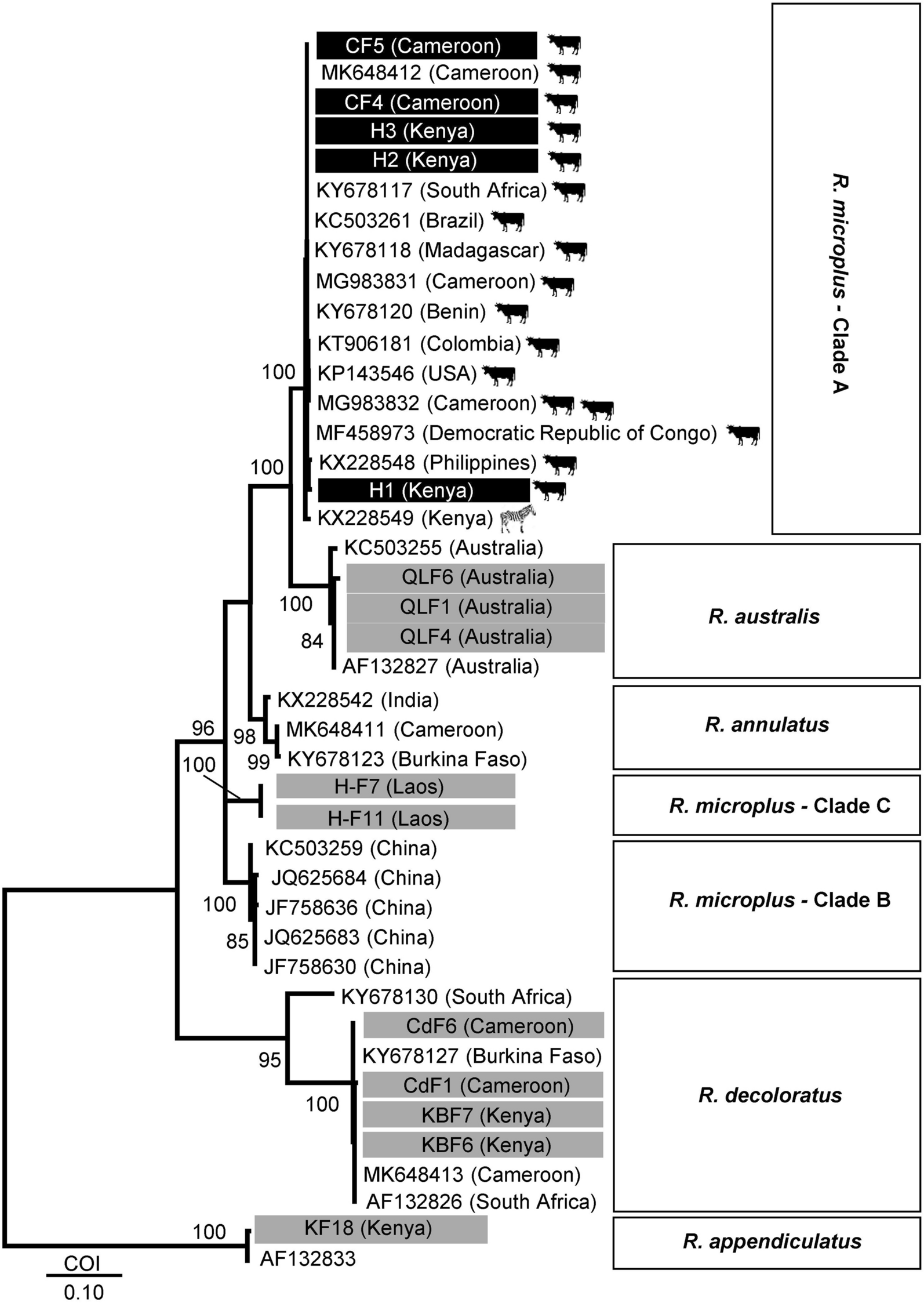 Fig. 6