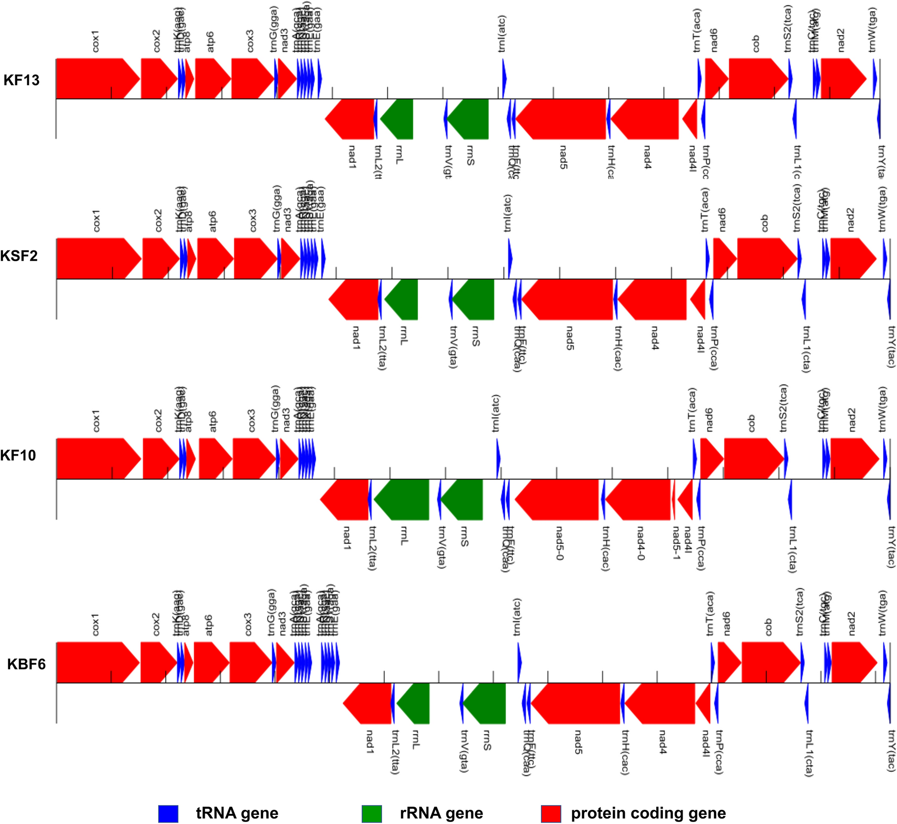 Fig. 7