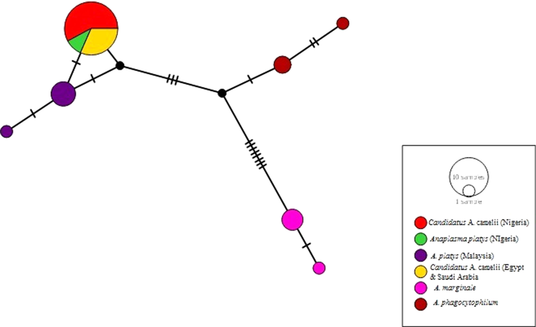 Fig. 3