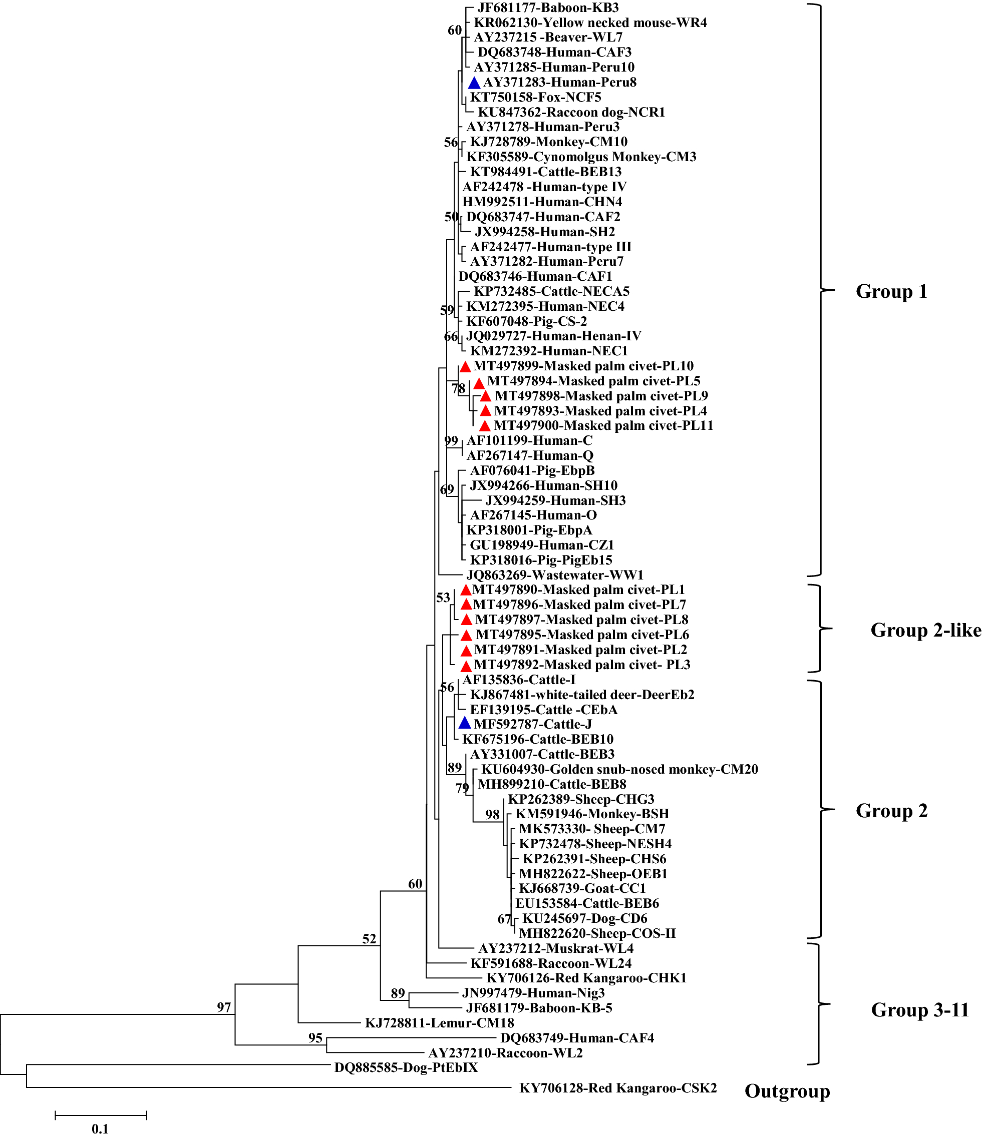 Fig. 2