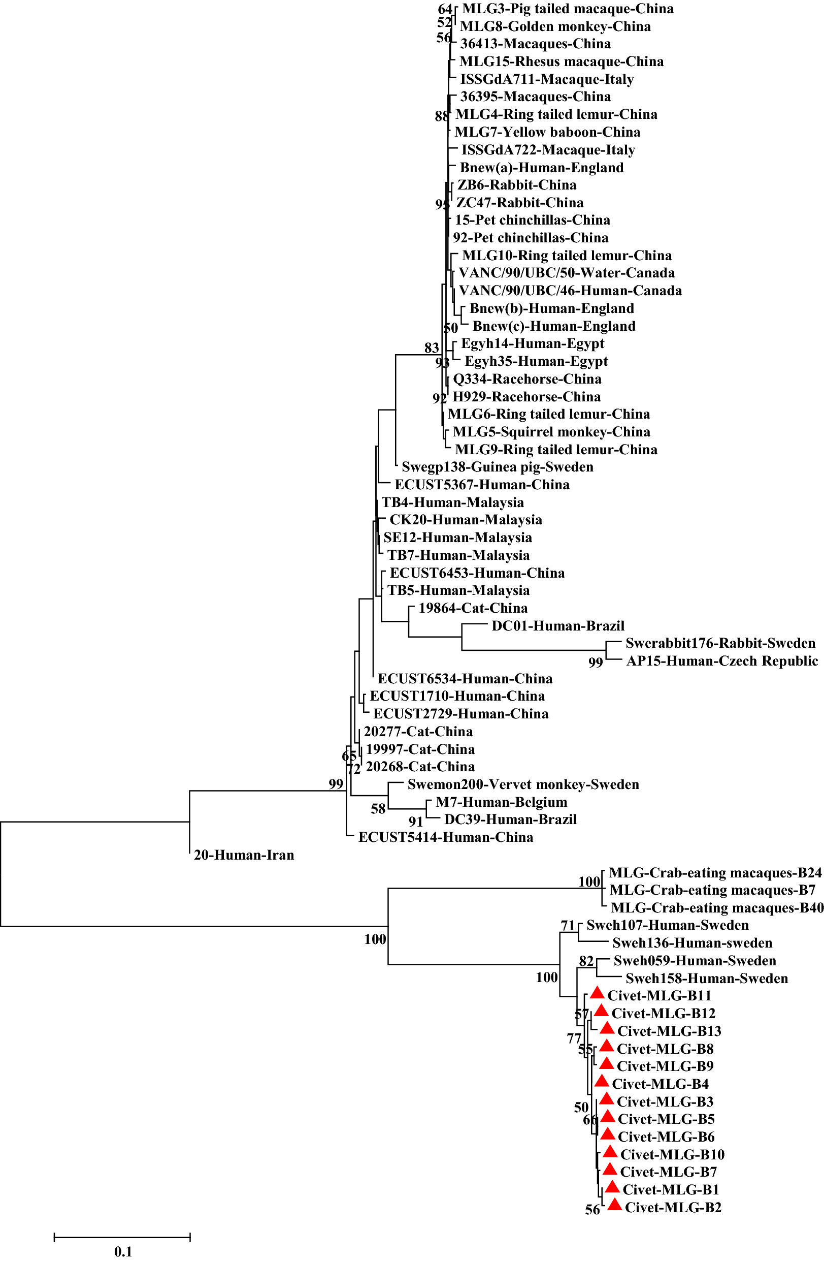 Fig. 3