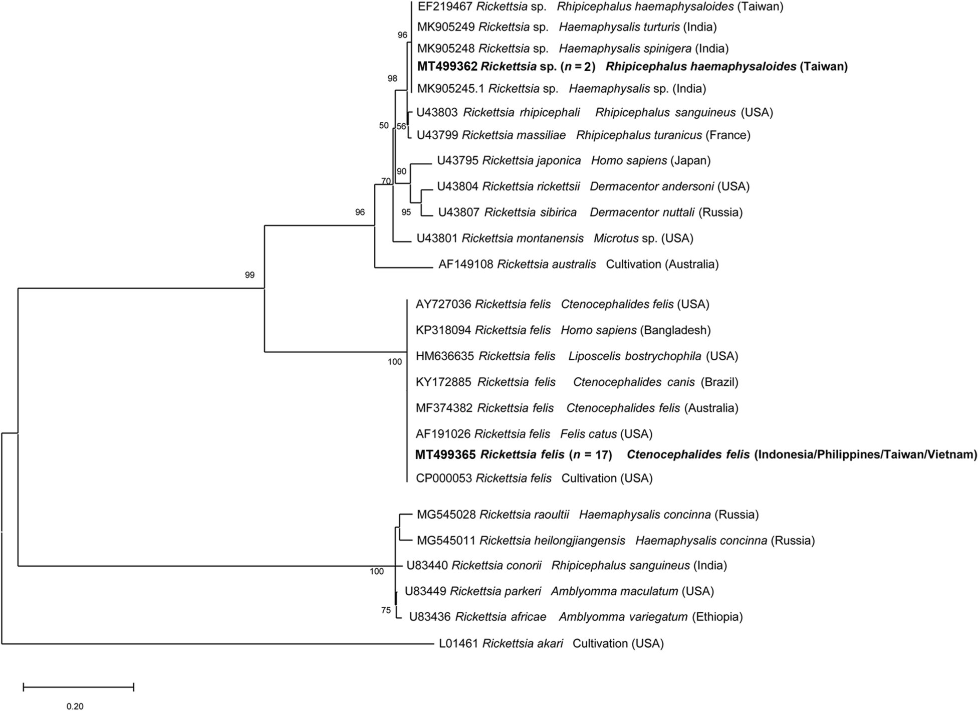 Fig. 1