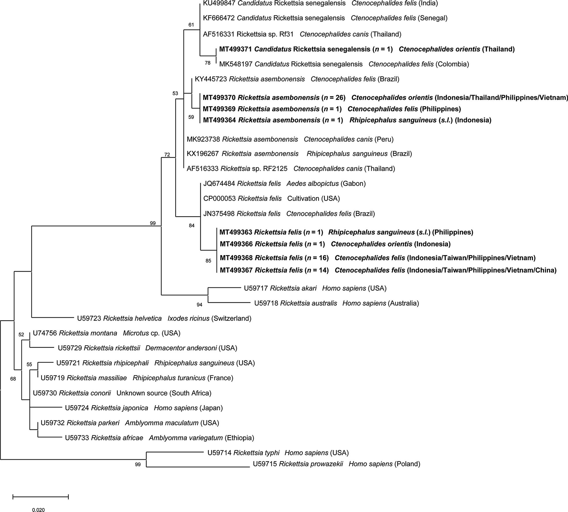 Fig. 2