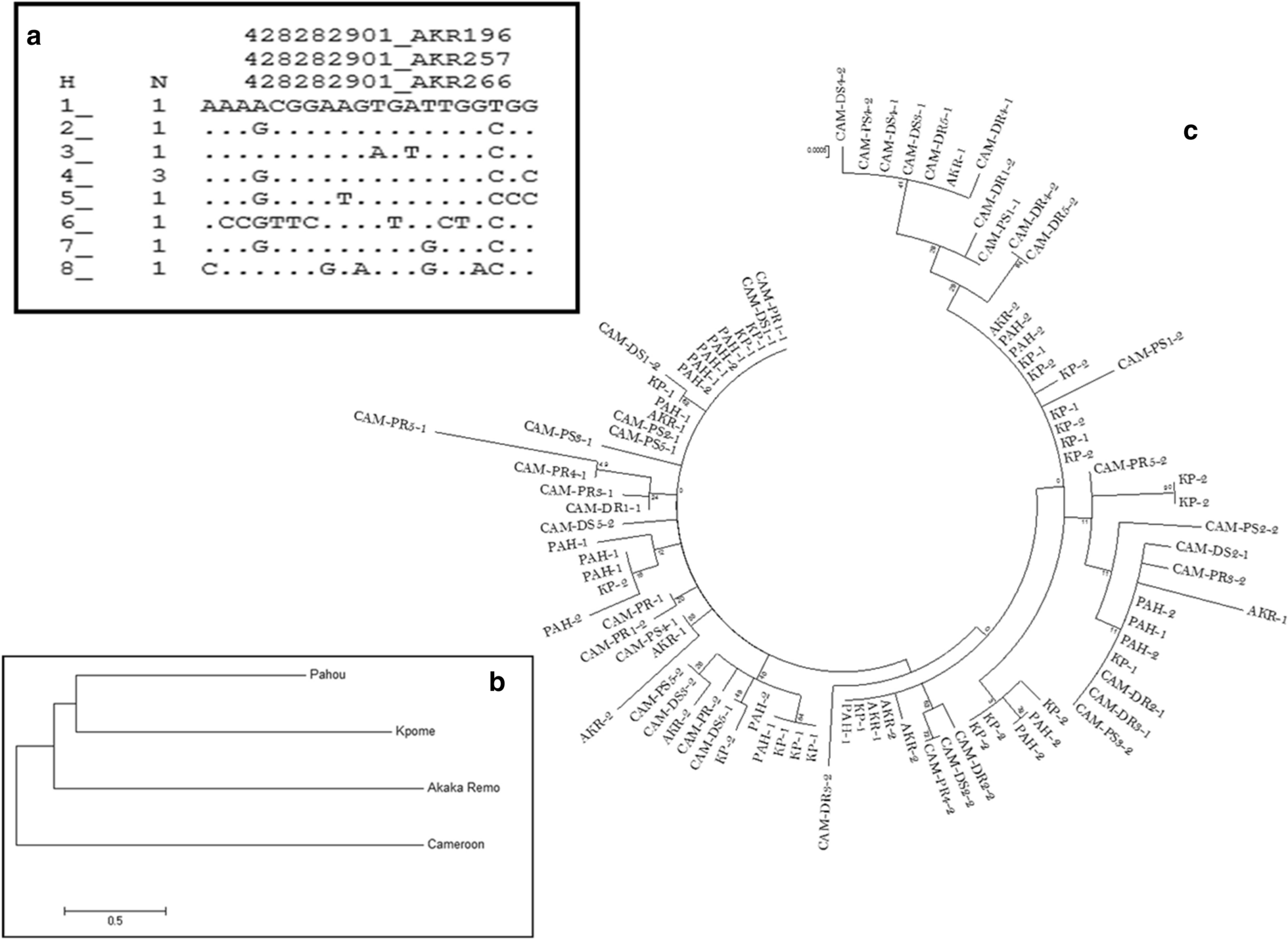 Fig. 4