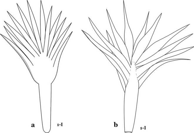 Fig. 13