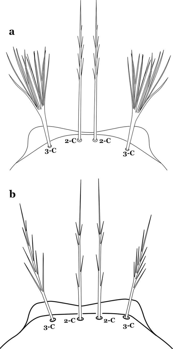 Fig. 27