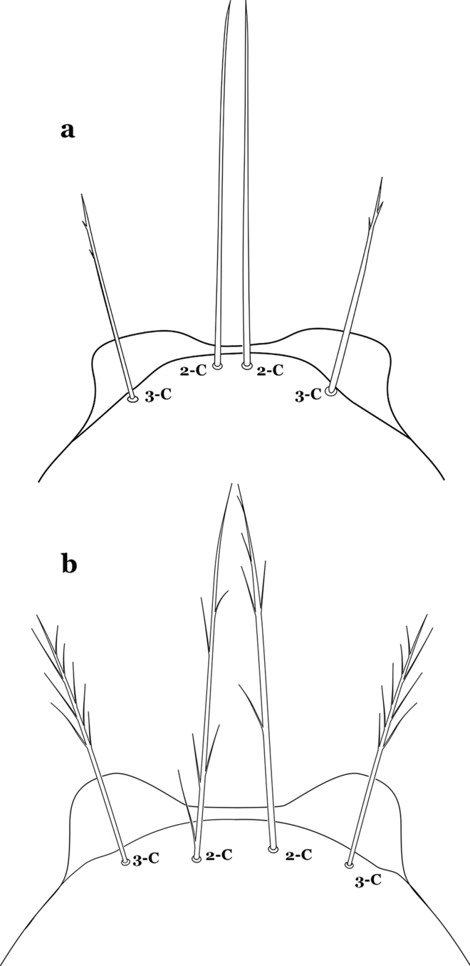 Fig. 30