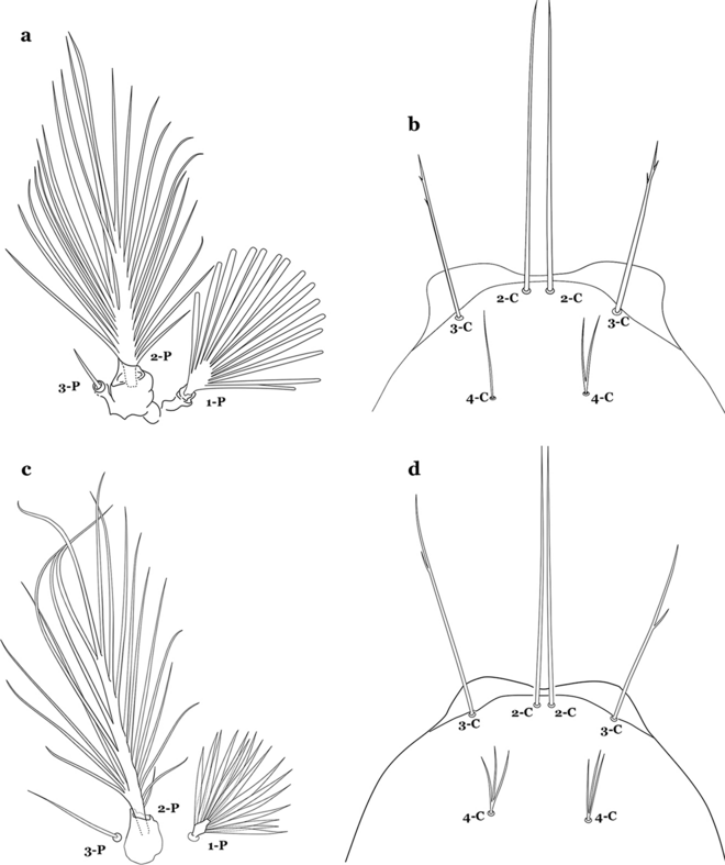 Fig. 31