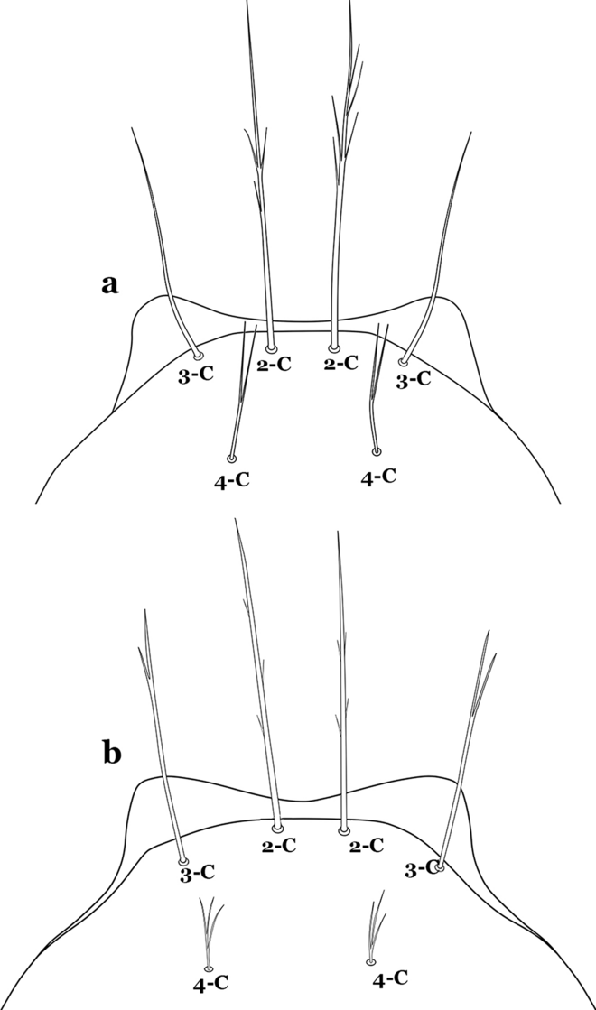 Fig. 41