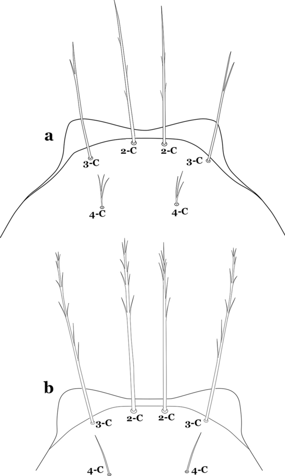 Fig. 43