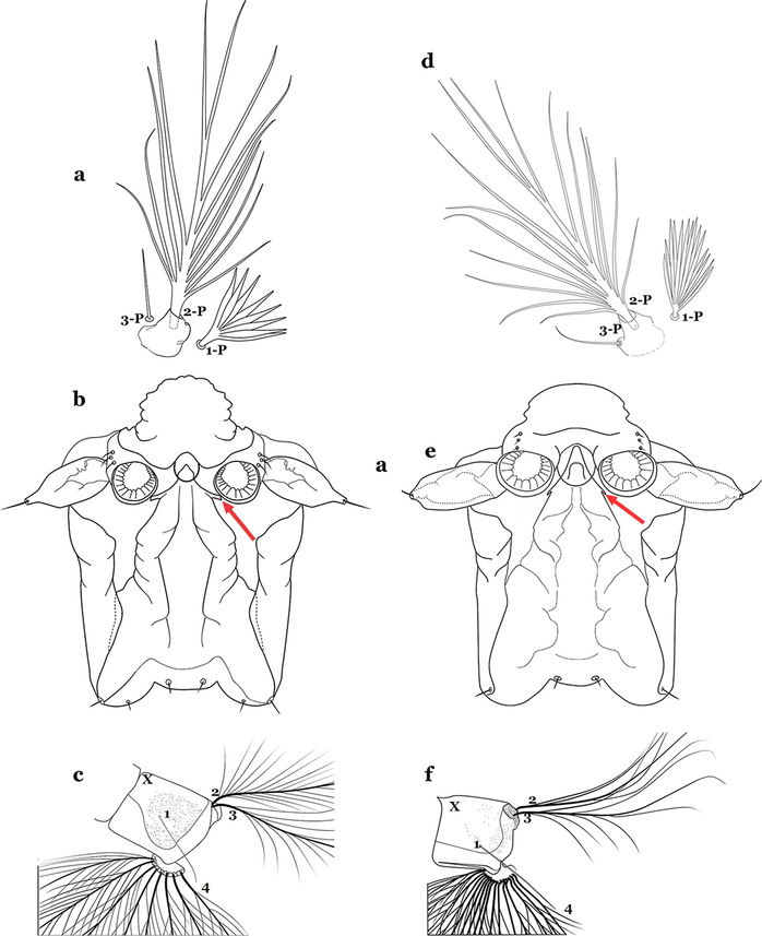 Fig. 44