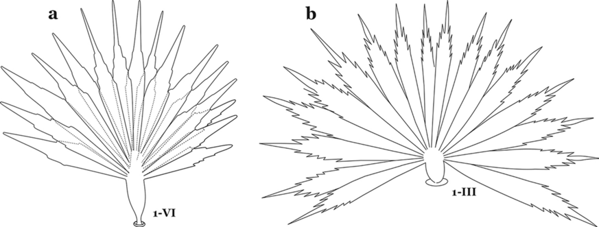 Fig. 50