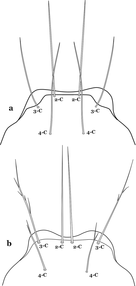 Fig. 51