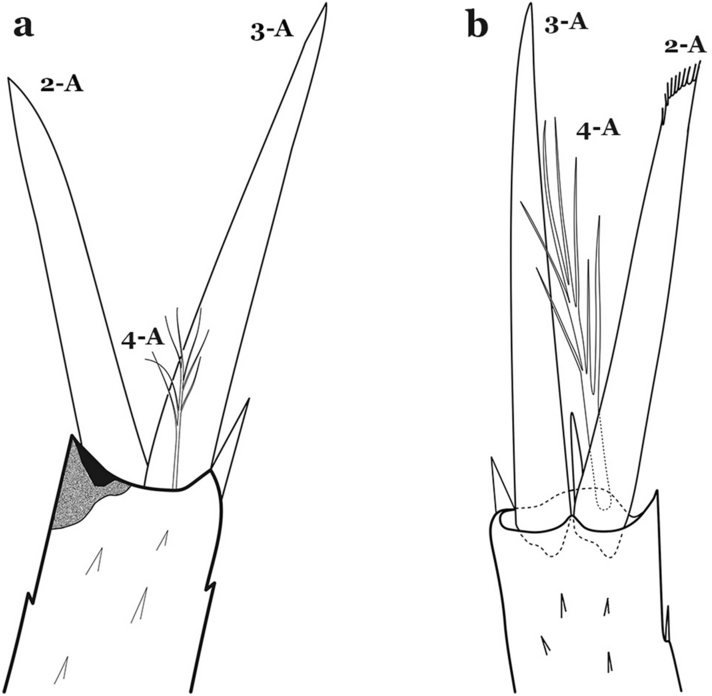 Fig. 53