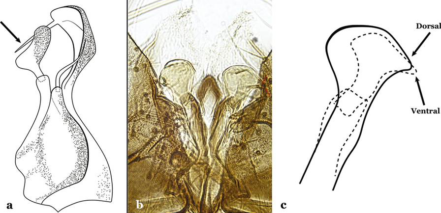 Fig. 12