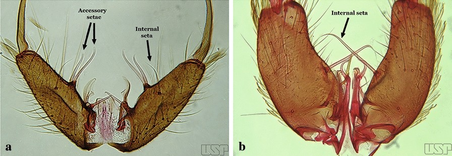 Fig. 13