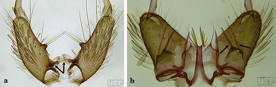 Fig. 14