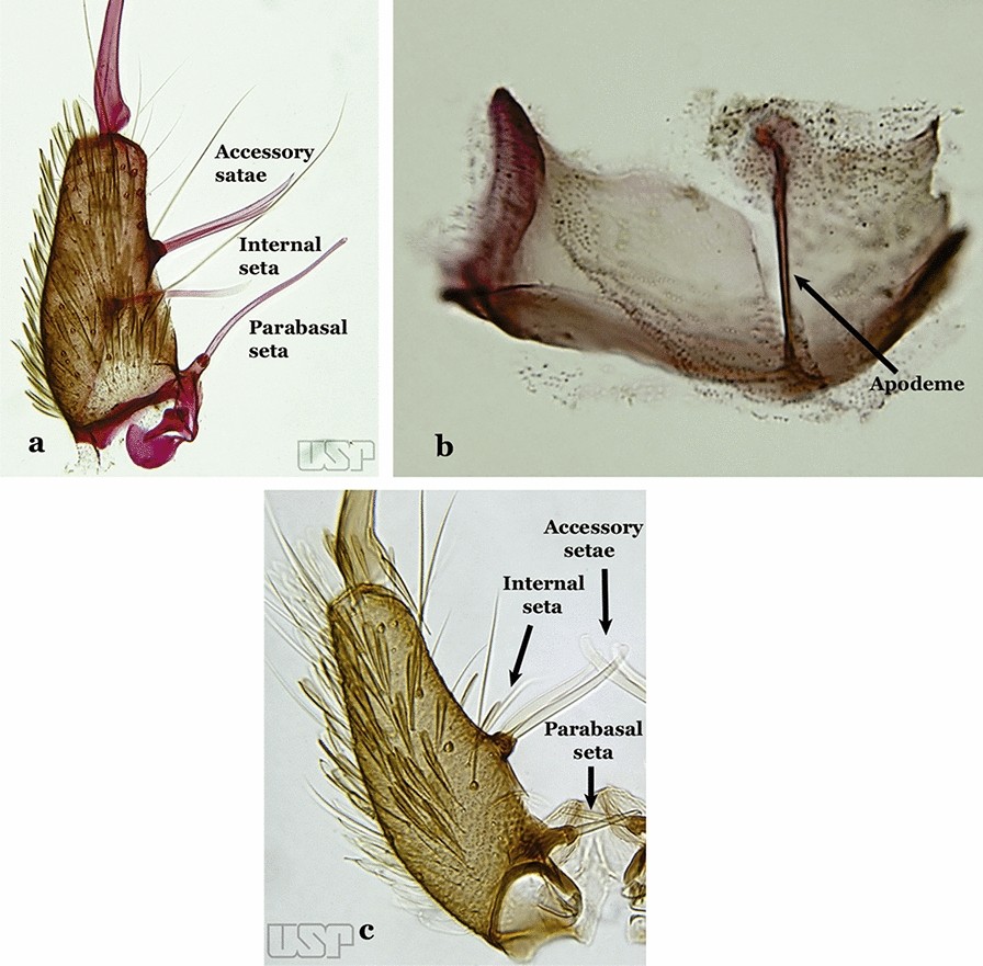 Fig. 15