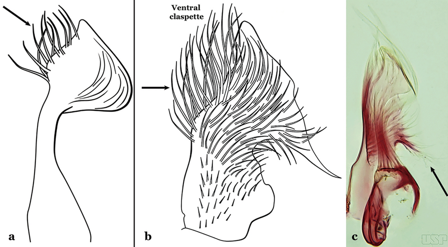 Fig. 17