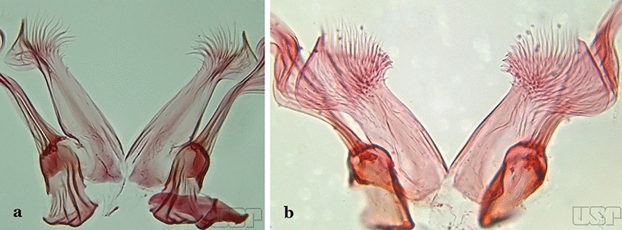 Fig. 23