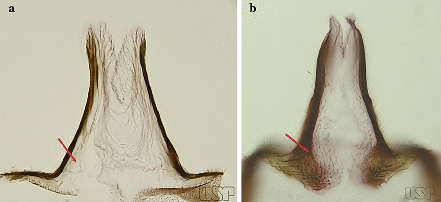 Fig. 30