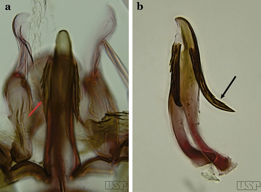 Fig. 31