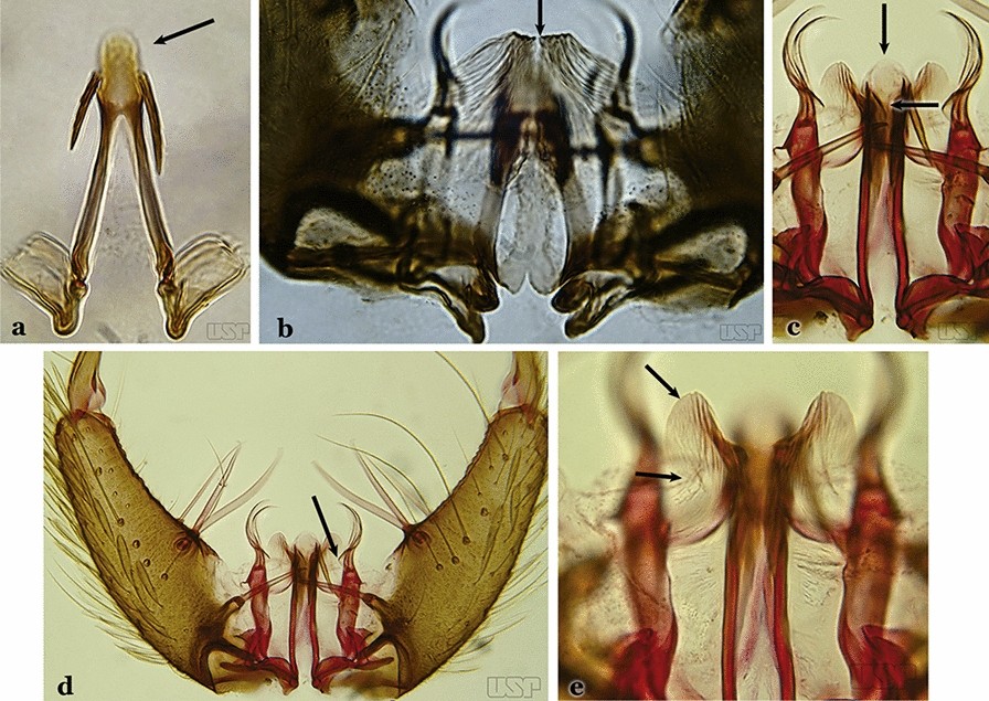 Fig. 35