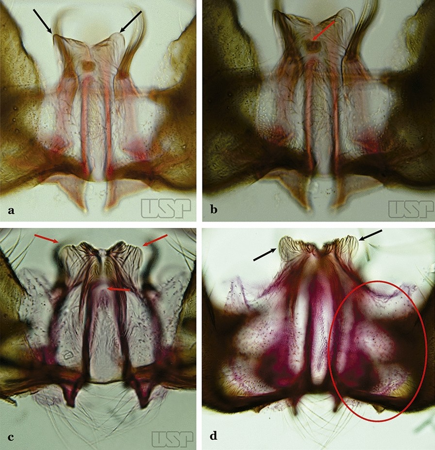 Fig. 42