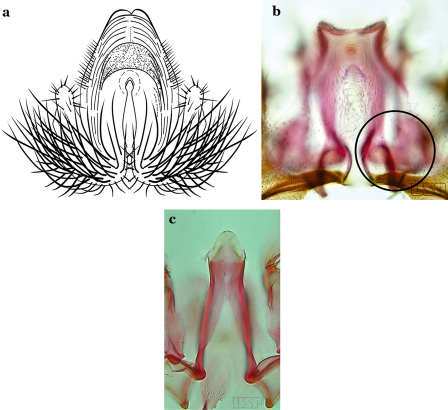 Fig. 47