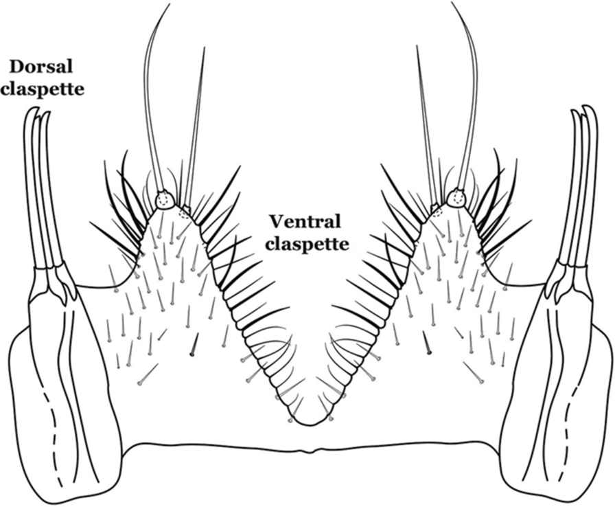 Fig. 4