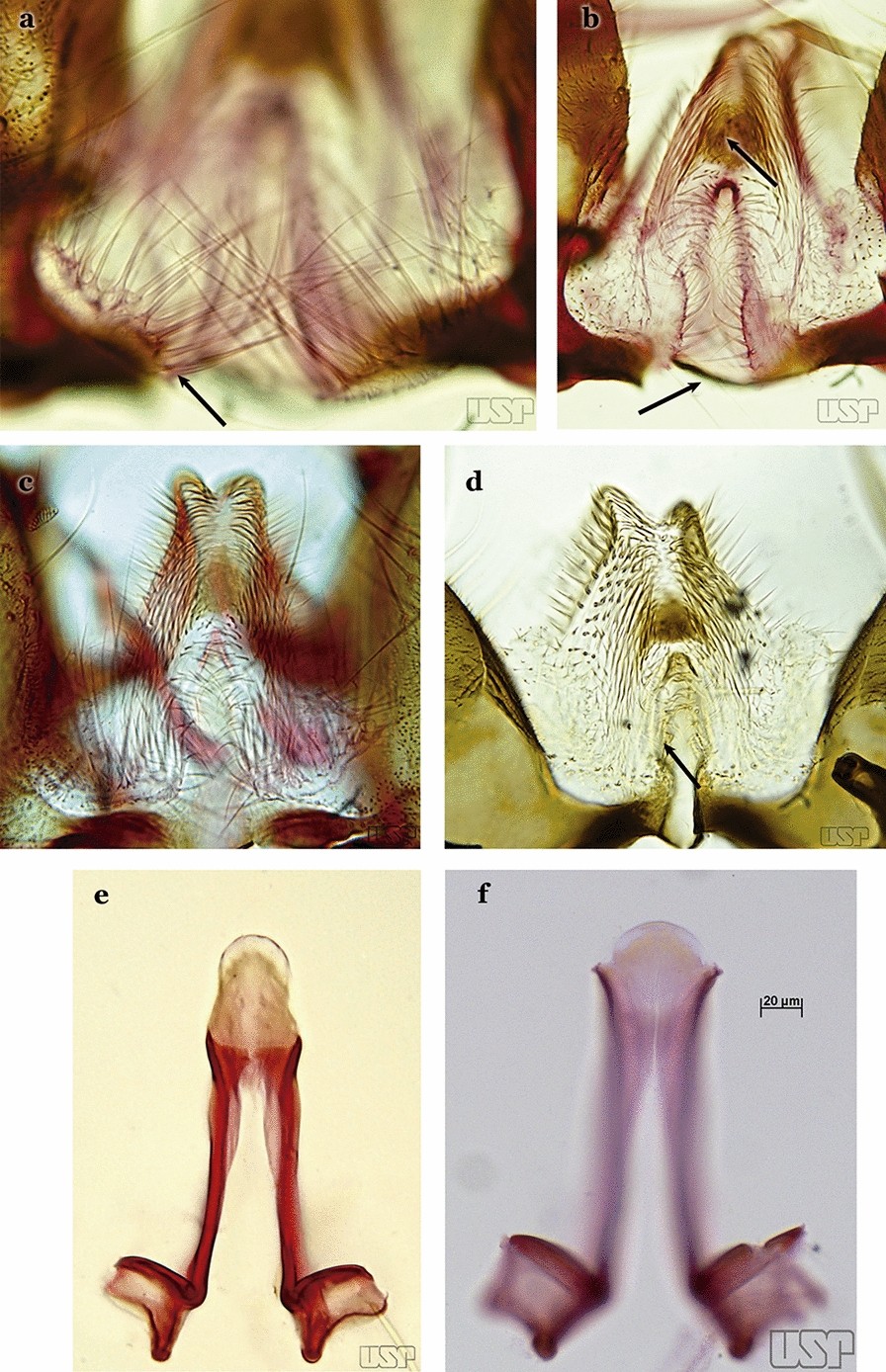 Fig. 53