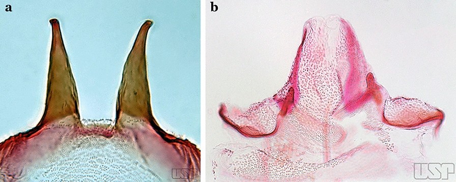 Fig. 60