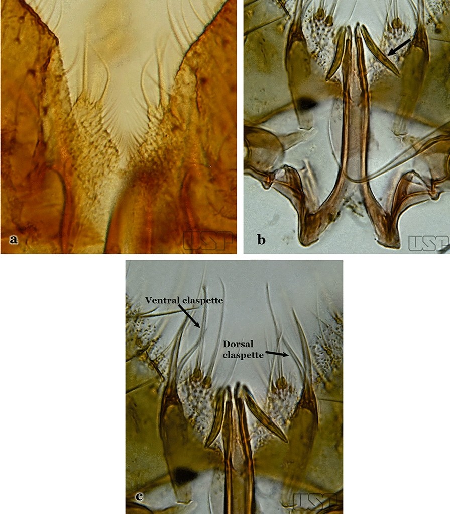 Fig. 65