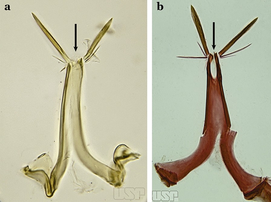 Fig. 69