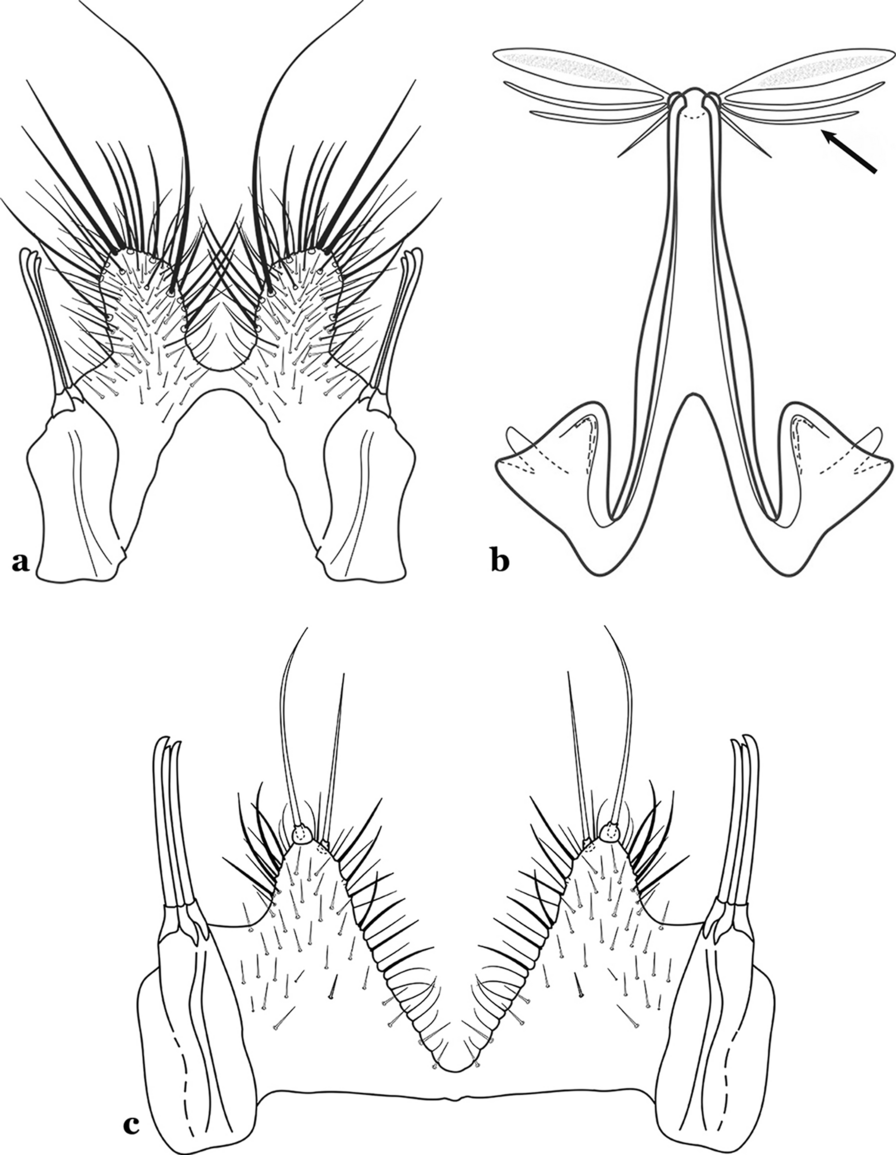 Fig. 71