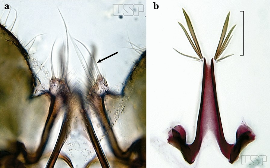 Fig. 73