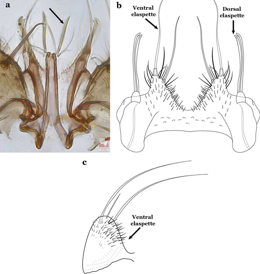 Fig. 75