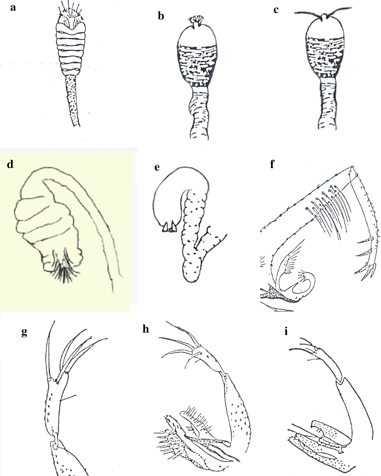 Fig. 4